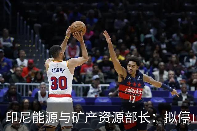 印尼能源与矿产资源部长：拟停止向不尊重印尼的国家供能