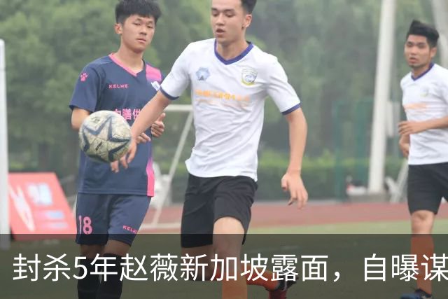 封杀5年赵薇新加坡露面，自曝谋生手段，网友：想不到她会干这个
